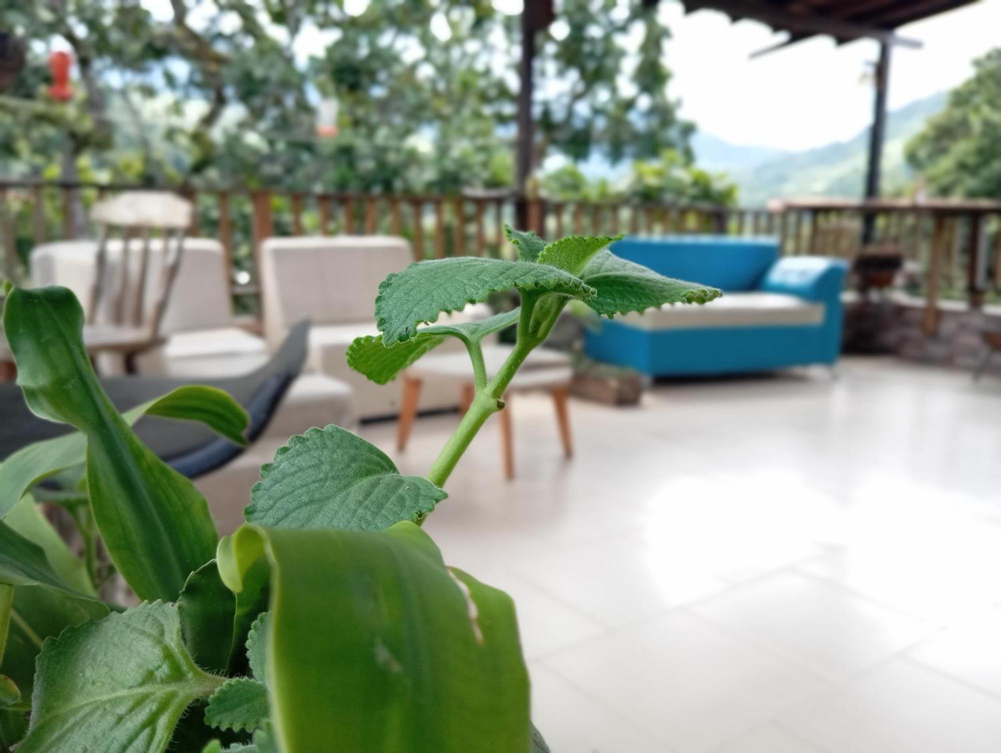 Hostal Los Wichos Минка Экстерьер фото